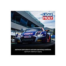 Engine oil LIQUI MOLY SYNTHOIL RACE TECH GT1 10W60 5L | Oiler