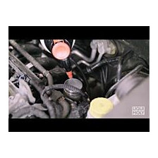 Fuel additive LIQUI MOLY Catalytic-System Cleaner 300 ml | Oiler