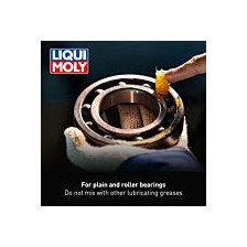 Силиконовая смазка LIQUI MOLY 3312 | Oiler