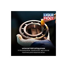 Смазка LIQUI MOLY 3552 | Oiler