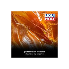 Smērviela LIQUI MOLY 3552 | Oiler